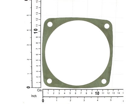 DEMAG Gearbox seal A10A20 REINZAFM38