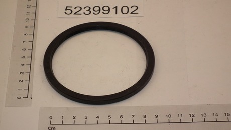 DEMAG Oil seal 86 X100,5X6 NB